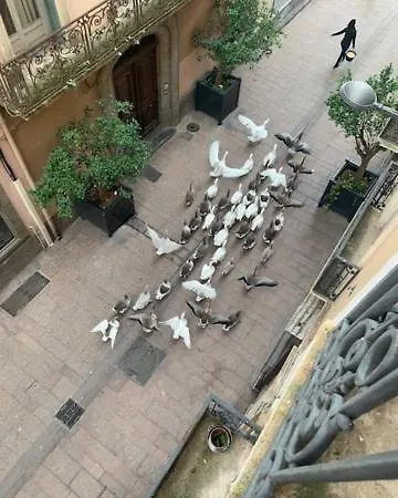 Bartissol Et Maillol 民宿 佩皮尼昂